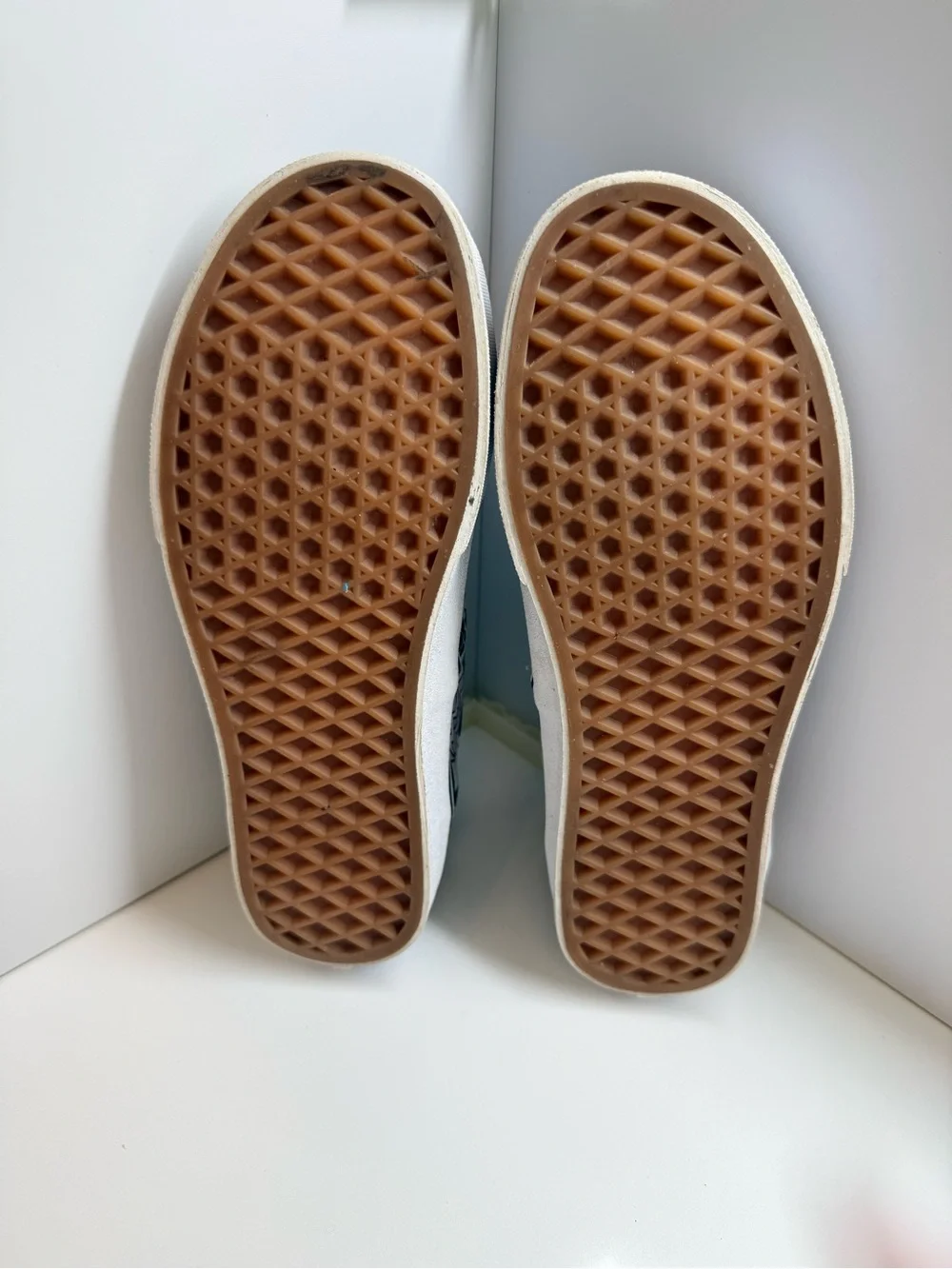 Vans x Eley Kishimoto Authentic Magnolia Hysteria Sneakers